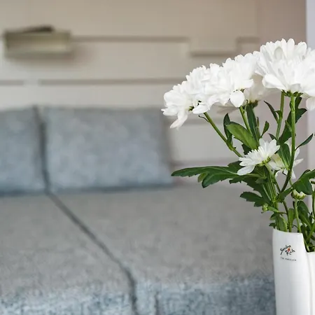 Paradise Guest Daire