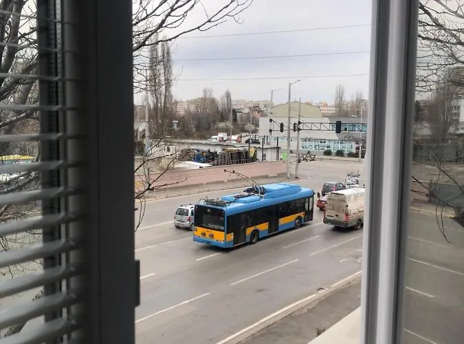 Paradise Guest * Sofya